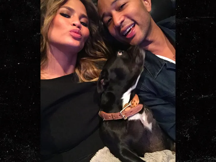 CHIEN DE LA FAMILLE CHRISSY TEIGEN EST MORT 1