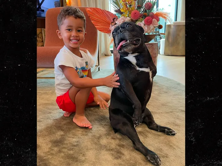 CHIEN DE LA FAMILLE CHRISSY TEIGEN EST MORT 3